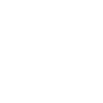 Lake Whitney Arts