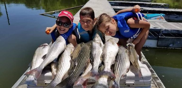 bigbiteguide 768x374