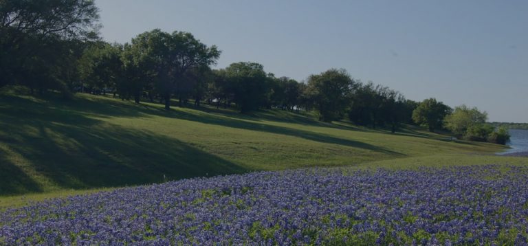 cityofwhitney 768x358